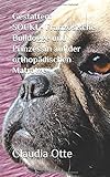 Image de Gestatten: SOUKI - Französische Bulldogge und Prinzessin auf der orthopädischen Matratze