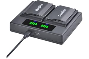 DuraPro 2X 2400mAh Akku + LED Dual USB Ladegerät mit Typ C-Port für Sony PSP-S110 PSP 2000 3000 Konsole (2001, 2002, 2003, 2004, 2005, 2006, 2007, 2008, 2010), PSP 3000, PSP Lite, PSP Slim