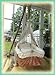 Baby Move Gold | Therapeutically Baby Movement Spring Cradle | Golden spring & nature coloured net | Baby cradle