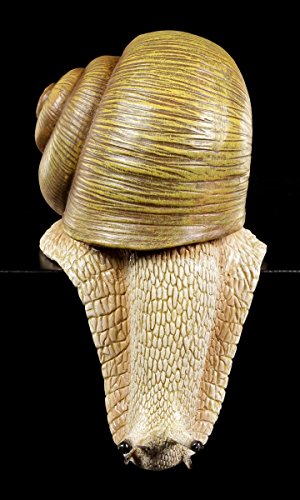 Schnecke Gartenfigur Kantenhocker groß – Weinbergschnecke Garten Figur - 3