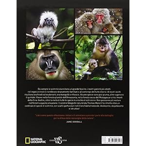 Come noi. Ritratti dal mondo dei primati