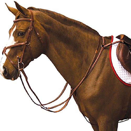 Exselle-Elite-Fancy-Square-Raised-Breastplate-with-Running-Attack