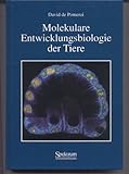Image de Molekulare Entwicklungsbiologie der Tiere