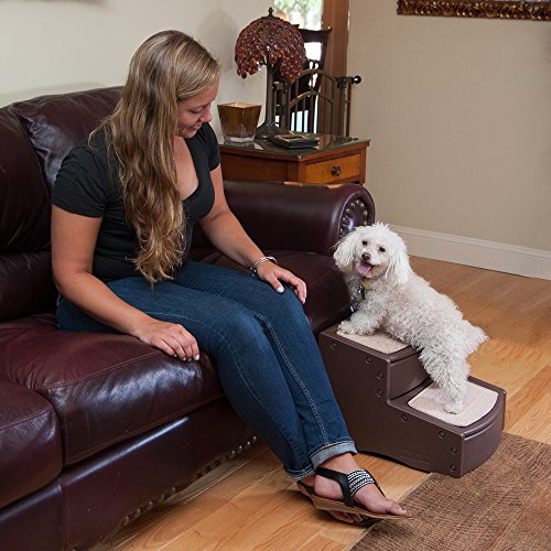 Pet-Gear-Easy-Step-II-X-Small-Chocolate-Cream