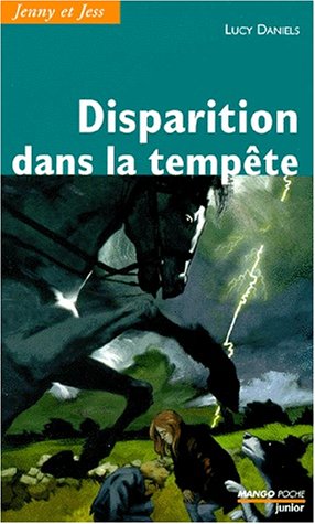 Disparition dans la tempête