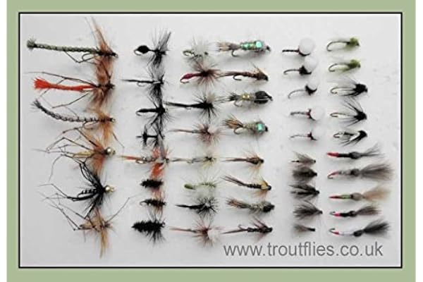 Lot de 50 mouches pour pêche à la truite, mouches sèches, buzzers, nymphes, émergers, etc
