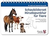 Image de Schaubilderset Hirudopunktur für Tiere: Vorschläge zum Setzen von Blutegeln auf Akupunkturpunkte