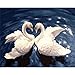 Produktbild lixb Rahmenlose Malen nach Zahlen Malen nach Zahlen für Wohnkultur Bild Ölgemälde für Wohnzimmer Swan Companion Tiermalerei 40x50 cm