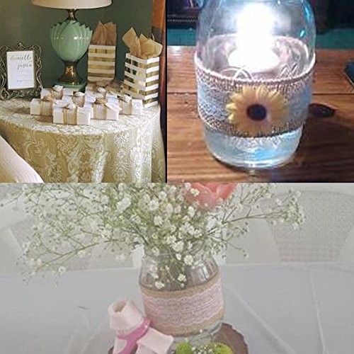 G2PLUS 5 * 2M Vintage Leinwand Hessische Jute Band Handwerk Farbband mit Weisse Spitzen für Handwerk Hochzeit Haus Dekor (5 * 2M) - 5