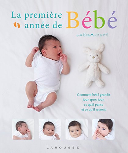Download La première année de bébé jour après jour Download La première année de bébé jour après jour