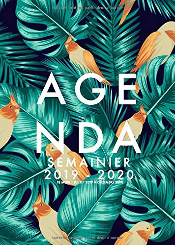 Télécharger Agenda Semainier 2019/2020 | 18 Mois | Juillet 2019 à Décembre 2020: Agenda organiseur pour ton qu Livre eBook France