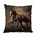 Produktbild alphadecor das Pferd Kissenbezüge von, 30,5 x 50,8 cm/30 50 CM Dekoration, Geschenk für Valentine, Dance Raum, Lounge, Sofa, Hochzeit, Home (beide Seiten)