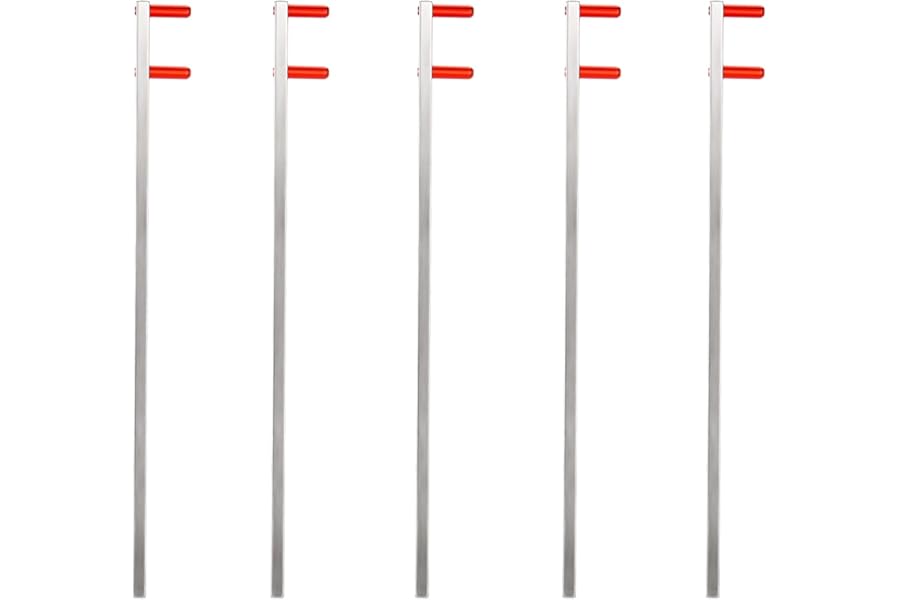 Dental X-Ray Positioning Indicator Arms, Pack of 5 for Bitewing, XCP Type, Red