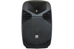 NLIGHTING® ZZPX ZZPK Professional Active Speakers Amplified Sound Speaker Active Speakers Bluetooth Column PA Systems and Integrated MP3 Player (ZZPX108)