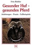 Image de Gesunder Huf, gesundes Pferd