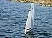 Produktbild HydroPro Affinity RG65 Racing Yacht (Plug and Play)