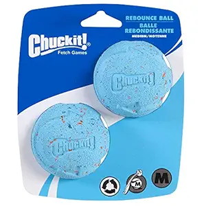 Chuckit! Medium Rebounce Ball 2.5-Inch, 2-Pack