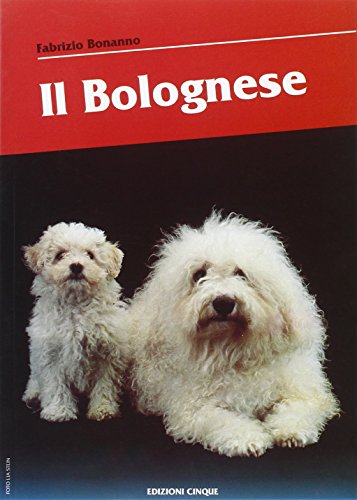 Bolognese