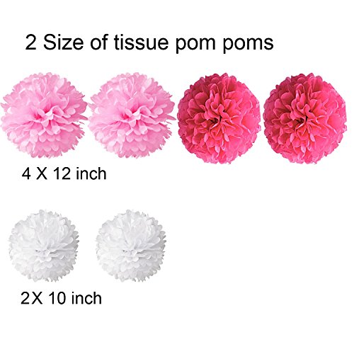 Happy Birthday Girlande Set, Wartoon Habby Birthday Alles Gute Zum Dekoration Deko Geburtstag Girlande Quasten Girlande Geburtstag und 6 Seidenpapier Pompons Rosa Pompoms für Geburtstag Dekoration - 2