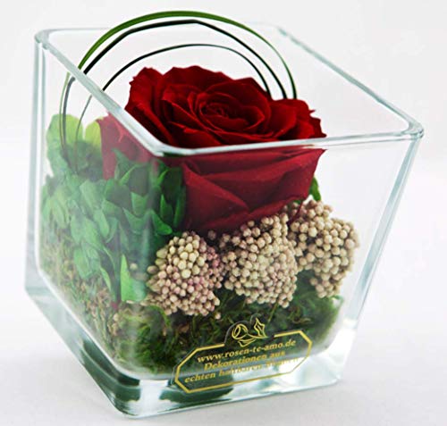 Rosen-Te-Amo Infinity Premium Rose in hochwertiger Würfel Vase, 100% echte Dekorative-Pflanzen und Moose; Haltbare Blumen im Kubik-Glas als Geschenkidee