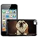 Price comparison product image Fancy A Snuggle Bull Dog Sitting On Carpet Design Hard Back Case Cover for Apple iPod Touch 4th Generation