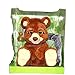 Emotion Pets Bruno the Bear