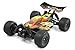 Price comparison product image FTX Colt RTR 1/18th Scale 4wd Electric Off-Road Buggy - Black/Orange