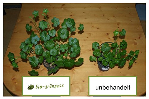 Bio Gemüse und Kräuterdünger – Tee für Pflanzen - 9