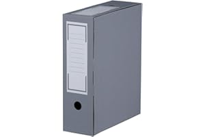 karton-billiger Lot de 20 boîtes de rangement pour archives Color 100 mm - 4 couleurs différentes (gris)