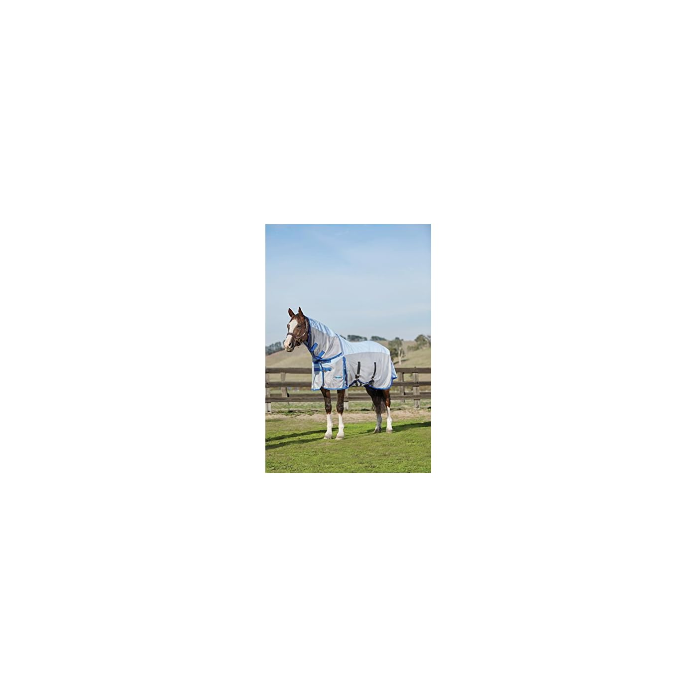 Horse ‘n’ Pony