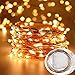 Produktbild Forever Speed Micro LED Lichterkette Batteriebetrieben Kupfer Drahtlichterkette Warmweiß geeignet für Party,Garten,Weihnachten,Hochzeit,Beleuchtung Deko,40LEDs [Energieklasse A+] (Goldbronze,4 M)