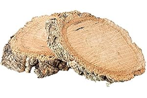Kork-Deko 2 Rondelles de Bois de liège/rondelle de Tronc d’Arbre 16 x 11 cm (chêne liège liège écorce de liège Bois)