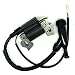 Produktbild conpus Honda GX110 GX120 GX140 GX160 GX200 Zündspule Magneto Generator Rasenmäher Teil Honda GX160/168 F GX110 GX120 GX140 GX160 GX200