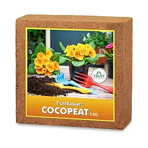 COCOPEAT Block - EXPANDS to 75 litres of Coco PEAT Powder