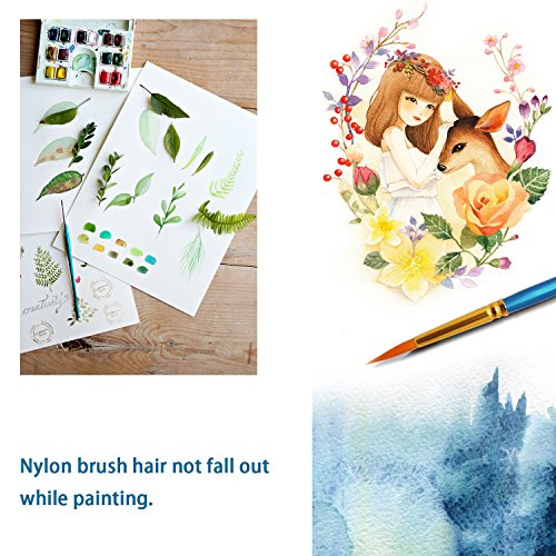 Ownuzz 12 Artist Paint Brush, 3 Mixing Palette, One Entry Pack Premium Nylon Brush for Watercolor, Acrylic and Oil Painting Etc Ideal Brush Set for Beginners, Kids, Artists and Painting Lovers - 4