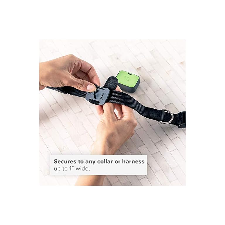 Whistle GO Explore GPS + Health + Fitness Dog Tracker Plus Health & Fitness Monitor, Waterproof