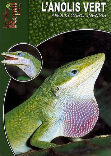 L'Anolis Vert: Anolis Carolinensis