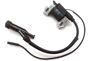 AISEN Bobina di accensione per Einhell BT-BG 2000/2, STE2500/Rotenbach 3 KW 6,5 CV