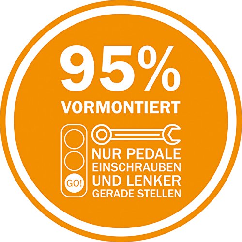 REX Alu-MTB BERGSTEIGER 7.2 - 6