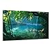 Visario 4164 Canvas Picture 80 x 60 cm Trees