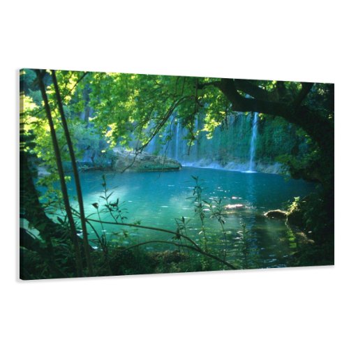Visario 4164 Canvas Picture 80 x 60 cm Trees