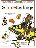 Image de Schmetterlinge