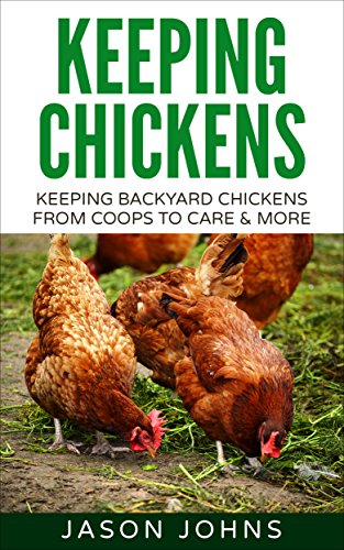 Keeping Chickens For Beginners Keeping Backyard Chickens From