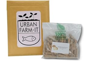 URBAN FARM-IT Urban Farm It - Shiitake Plugs (Lentinula Edodes), Mushroom Spawn Pack, Easy to Use, Harvest for up to 8 Years, Grow Mushrooms On Logs (50 Dowels)