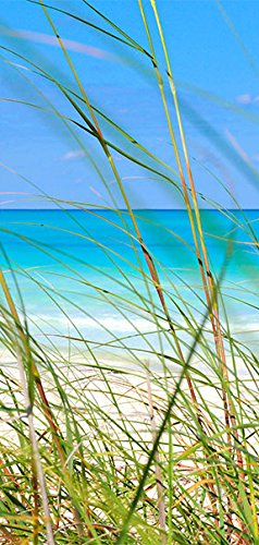 Türtapete XXL 100×210 cm ! Premium Vliesleinwand mit Samt Haptik! Fototapete Tapete Türpanel Türposter Tür Foto Bild Design Natur blau c-B-0221-a-b - 2