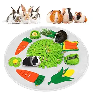 GINDOOR Guinea Pig Foraging Mat 24