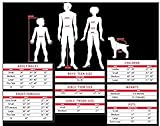 HAPPY & HOME Aufblasbare Halloween Party Anzug Erwachsene aufblasbare Reiten Gorilla Kostüm - 