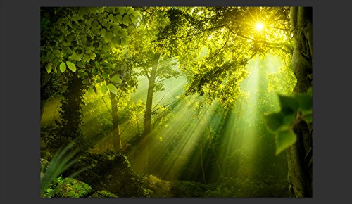 FOTOTAPETE 350×245 cm – VLIES TAPETE PREMIUM – PROFI QUALITÄT – Top moderne Wanddeko – Riesen Wandbild – Top Design Tapete – Neue exklusive Edition mit noch besser Druckauflösung – Deutsches Premium Vlies – Wald Natur Landschaft c-A-0077-a-a - 2