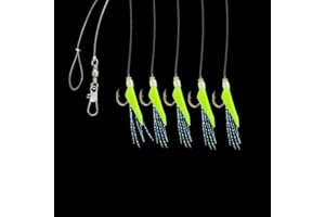 Jenzi DEGA Heringsvorfach mit echter Fischhaut, DREI Farben, mit fünf Haken mit unterschiedlicher Größe, Lieferung auf praktischem Eva-Board