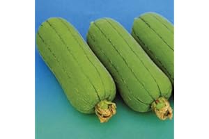 SVI 1 gramme Graines de Seven Bonheur Luffa